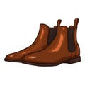 Vector Brown Leather Shoes. Classic Chelsea Boots