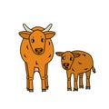 Vector brown mother and child of domestic cow and calf. Cartoon farm animals isolated on white background