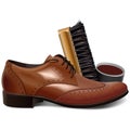 Vector Brown Shoe with Brush Royalty Free Stock Photo