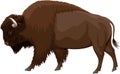 Vector brown zubr buffalo bison Royalty Free Stock Photo