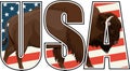 Vector brown zubr buffalo bison on US flag illustration Royalty Free Stock Photo