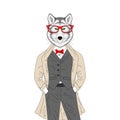 Vector brutal wolf in elegant classic suit with coat. Hand drawn