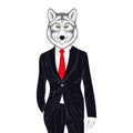 Vector brutal wolf in elegant classic suit. Hand drawn anthropomorphic grizzly. Illustration for t-shirt print, kids greeting car