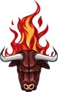 vector Bull Head Flame-Furious Bull and flame background,