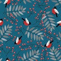 Vector bullfinch birds, berries of mountain ash tree and leaves