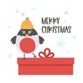 Vector bullfinch in hat with present and snowflakes. Cute winter bird illustration. Funny Christmas card design. New Year print