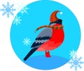 Vector bullfinch in hats and boots with circle blue background