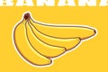 Vector bunch of bananas of different shapes. Four ripe yellow bananas drawn in a flat design