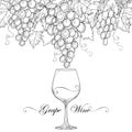 Vector bunch of grape, grape leaves and wineglass