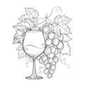 Vector bunch of grape, ornate grape leaves and wineglass in black Royalty Free Stock Photo