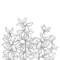 Vector bunch with outline Forsythia flower, branch, leaves in black isolated on white background. Garden plant Forsythia.
