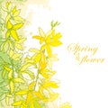 Vector bunch with outline Forsythia flower, branch, leaves in yellow isolated on textured background in pastel colors.