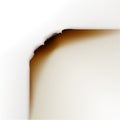 Vector Burned Paper Edges on White Background Royalty Free Stock Photo