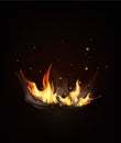 Vector burning fire on a dark night background.