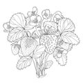 Vector bush with outline Strawberry with berry, flower and leaves in black on white background. Fruit elements. Royalty Free Stock Photo