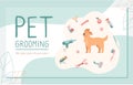 Vector business card for grooming salon. Illustration of a dog of the Golden Retriever breed and products for grooming