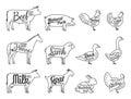 Vector Butchery Logo. Farm Animals Thin Line Icons Collection Is