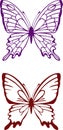 Vector butterfly Royalty Free Stock Photo