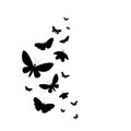 Flying butterflies silhouettes.