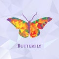 Vector butterfly color geometric