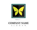 Vector - Butterfly conceptual simple, colorful icon. Logo. Vector illustration