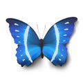 Vector butterfly illustration Royalty Free Stock Photo