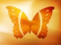 Vector butterfly illustration Royalty Free Stock Photo