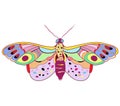 Vector butterfly, illustration isolated on white background Royalty Free Stock Photo