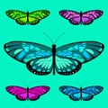 Vector butterfly set 7 Royalty Free Stock Photo