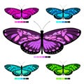 Vector butterfly set 6 Royalty Free Stock Photo