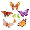 Vector butterfly set Royalty Free Stock Photo