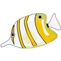 Vector Butterfly white yellow Fish