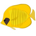 Vector Butterfly yellow Fish