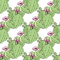 Vector Cacti botanical flower. Green engraved ink art. Seamless background pattern. Fabric wallpaper print texture. Royalty Free Stock Photo