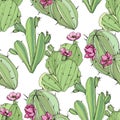 Vector Cacti botanical flower. Green engraved ink art. Seamless background pattern. Fabric wallpaper print texture. Royalty Free Stock Photo