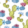 Vector Cacti flower. Green and blue engraved ink art. Seamless background pattern. Fabric wallpaper print texture. Royalty Free Stock Photo