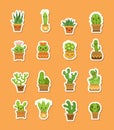 Vector cacti in pots flat style stickers