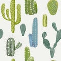 Vector Cactus Background. Seamless Pattern. Exotic Plant Royalty Free Stock Photo