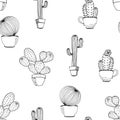 Vector cactus flower background. Seamless pattern with cactus Royalty Free Stock Photo