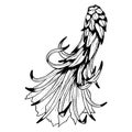 Vector cactus flower with leaves, side view. Black white outline illustration of Epiphyllum, dragon fruit line graphic