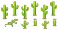 Vector cactus set