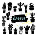 Vector cactus silhouettes in the pots. Hand drawn set of cactus and succulents.