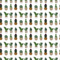 Vector cactuses pattern