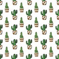 Vector cactuses pattern