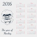 Vector calendar 2016. The yeat of monkey. Grey card.