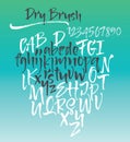 Vector calligraphic alphabet written with soft brush. Royalty Free Stock Photo