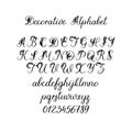 Vector Calligraphy Alphabet. Floral Letters. Decorative handwritten brush font for: Wedding Monogram, Logo, Invitation. Royalty Free Stock Photo