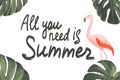 Vector calligraphy summer quote with pink flamingo and green tropical leaves Royalty Free Stock Photo