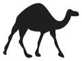 Vector camel animal silhouette drawing Royalty Free Stock Photo