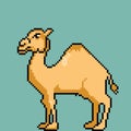 Vector camel character with decorative hat with pixel art